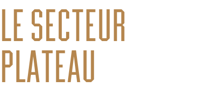 Le secteur plateau