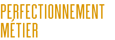 perfectionnement métier