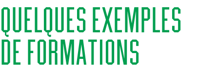 Quelques exemples de formations