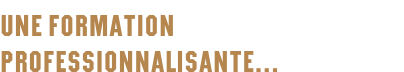 Une formation professionnalisante…